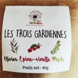 Tisane Les Trois Gardiennes-Olivier, Myrte, Epine-vinette