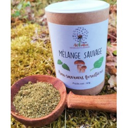 Mélange sauvage cèpes ortie chénopode pour sauce et omelette