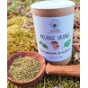 Mélange sauvage cèpes ortie chénopode pour sauce et omelette