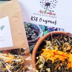 Sachet oxymel livret plantes