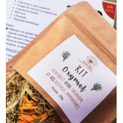 Booster votre organisme avec notre Kit Oxymel !