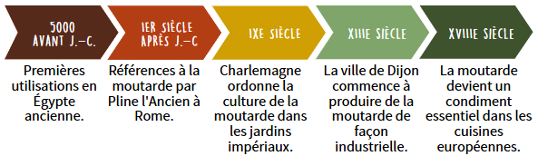 frise chronologique