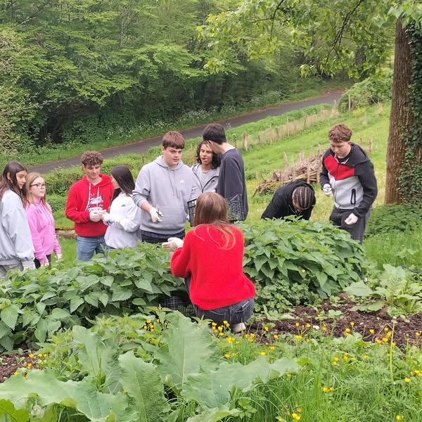 cueillette avec les lycéens