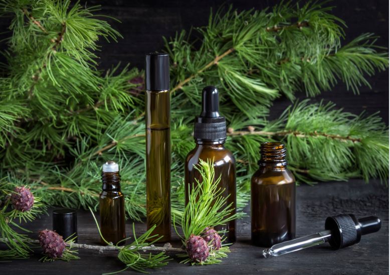 Usages m&eacute;dicinales